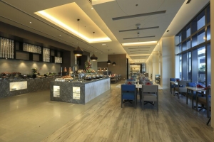 هتل ساووی نیوکست بوراکای