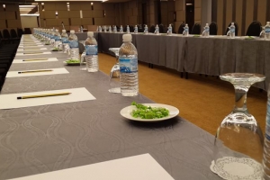 هتل سانی کوالالامپور