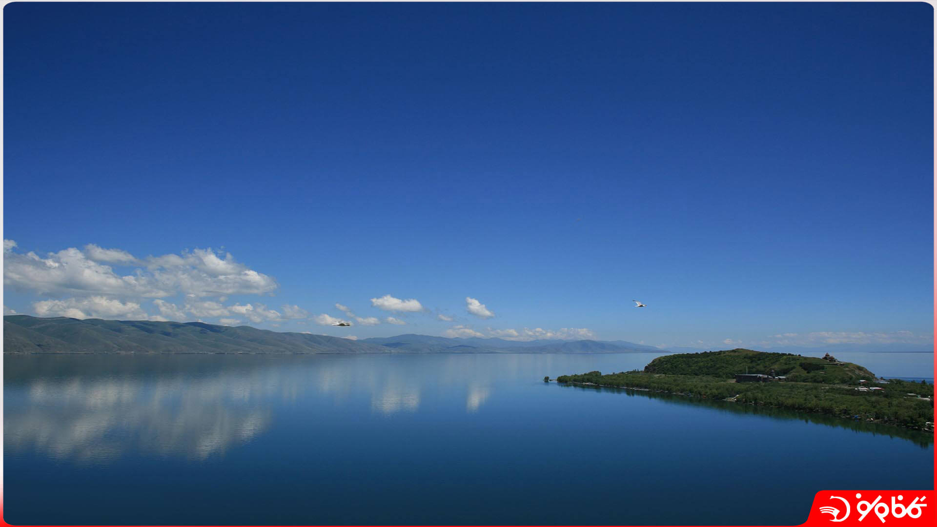 دریاچه سوان